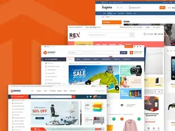 Setup Premium Theme