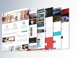 Setup Premium Theme